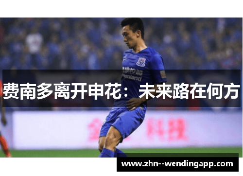 费南多离开申花：未来路在何方