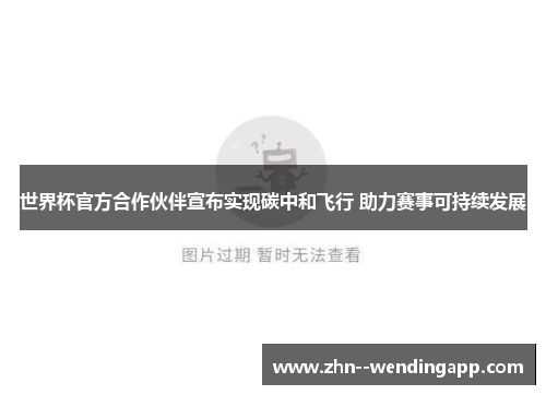世界杯官方合作伙伴宣布实现碳中和飞行 助力赛事可持续发展