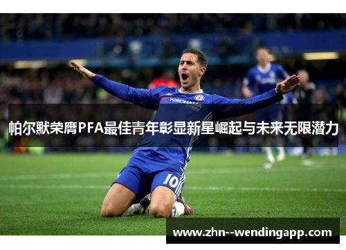 帕尔默荣膺PFA最佳青年彰显新星崛起与未来无限潜力