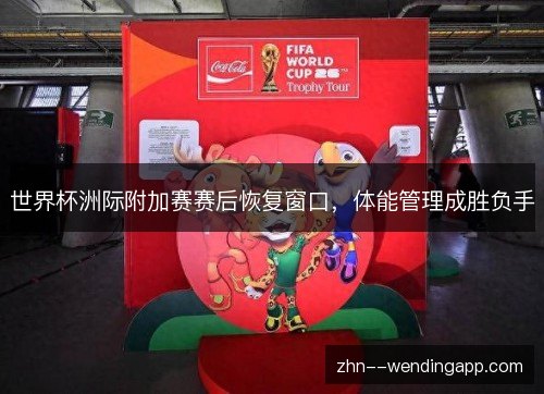 世界杯洲际附加赛赛后恢复窗口,体能管理成胜负手 世界杯洲际附加赛赛后恢复窗口,体能管理成胜负手